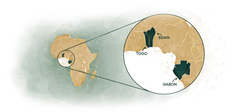 Togo, Benin, Gabon map